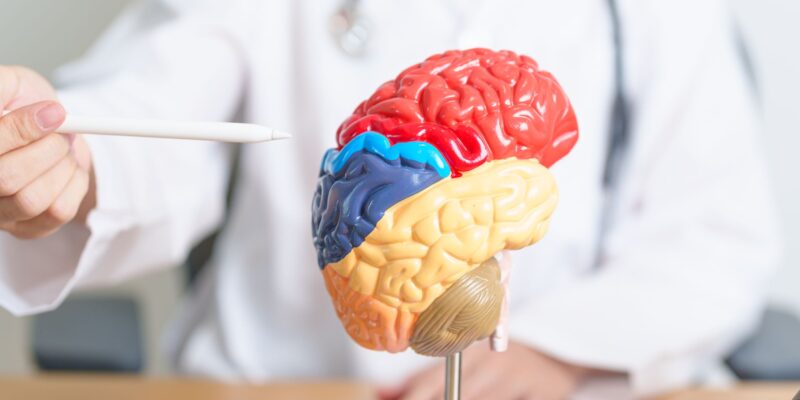 Exploring the Impact of Neurological Disorders on Daily Life