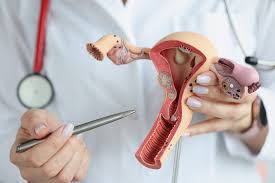 Navigating the Gynecological Care Journey From Adolescence to Menopause