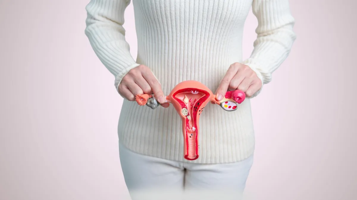 Understanding the Different Approaches to Fibroid Treatment